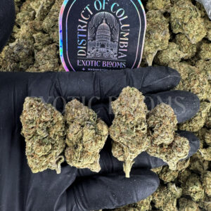 Lemon Cherry Runtz Washington DC Virginia