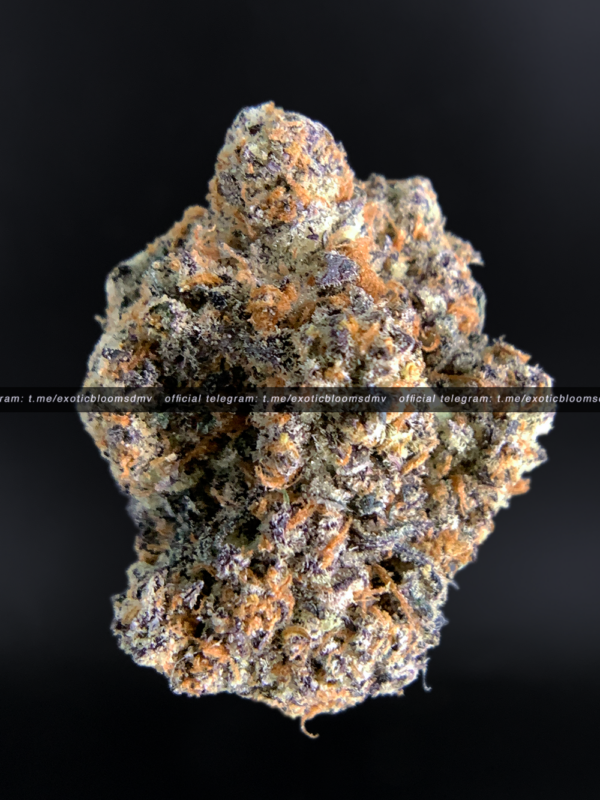 Pure Michigan Strain Washington DC Virginia Maryland