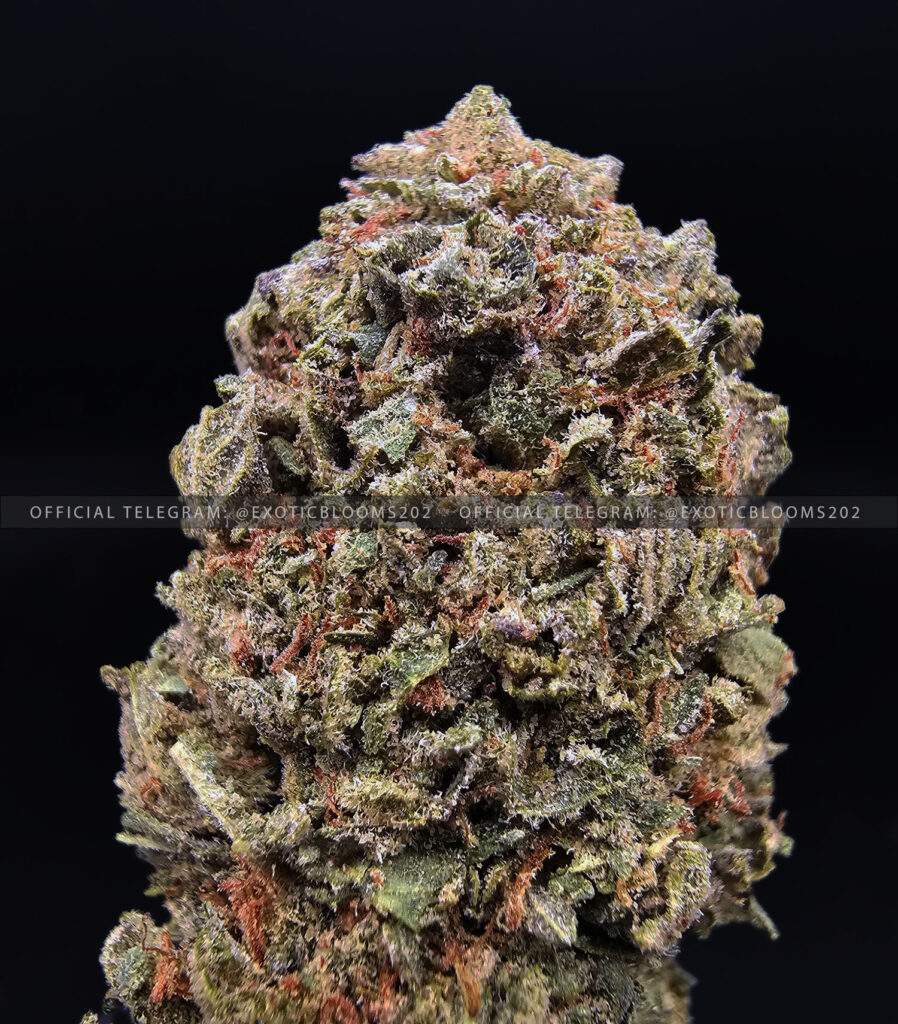 Sour Bubba Oz Deal *OUT OF STOCK* - Exotic Blooms Delivery - DC Weed ...