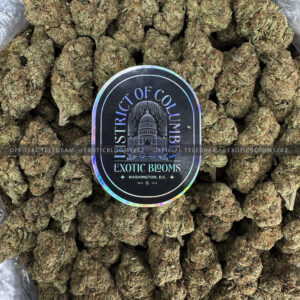 Purple PUnch Strain Exotic Blooms washington dc weed delivery