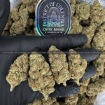 Purple PUnch Strain Exotic Blooms virginia weed delivery