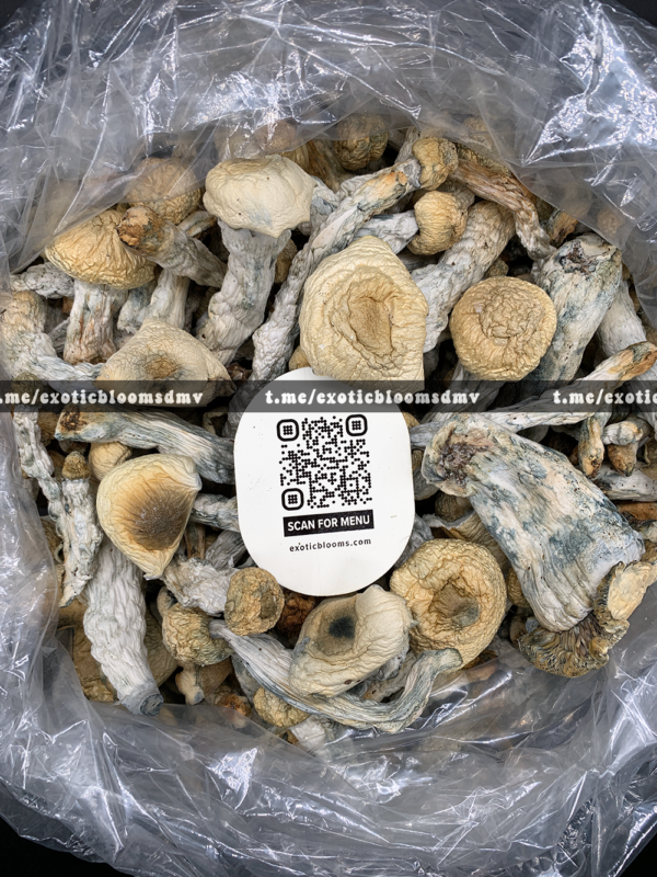 Bluey Vuitton Mushroom Strain Washington DC