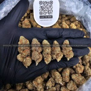 Mandarin Cookies Strain Exotic Blooms virginia weed delivery