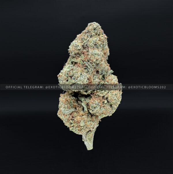 Purple PUnch Strain Exotic Blooms dmv weed delivery