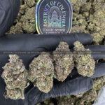 Grape Gas Strain Exotic Blooms dmv weed delivery