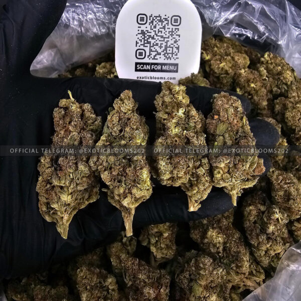 Grape Gas Strain Exotic Blooms dmv weed delivery