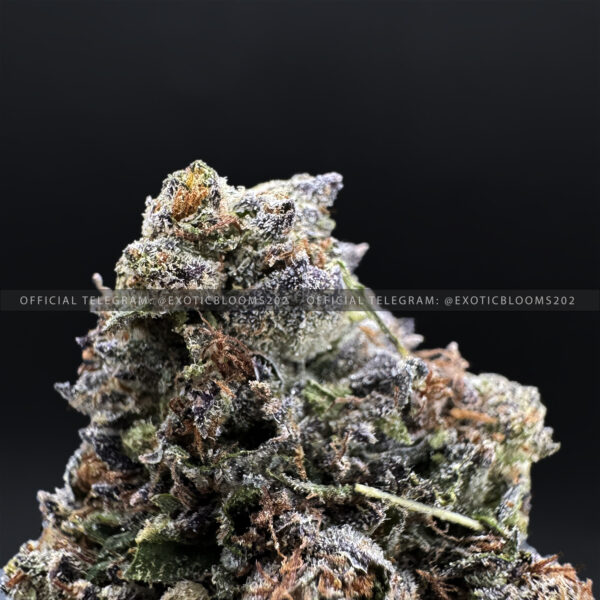 Grape Gas Strain Exotic Blooms virginia weed delivery