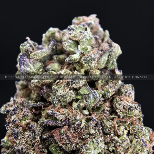 Grape Gas Strain Exotic Blooms washington dc weed delivery