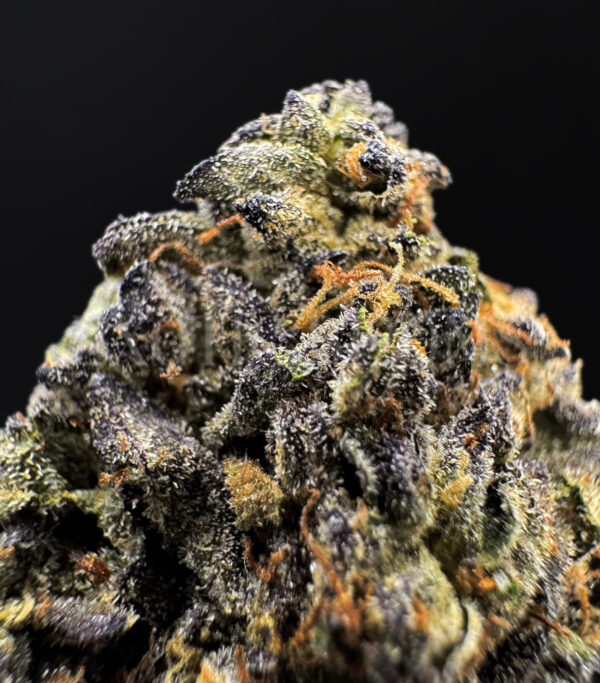 Purple Cream Washington DC Virginia