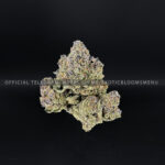 Purple Cream Strain Exotic Blooms rva weed delivery