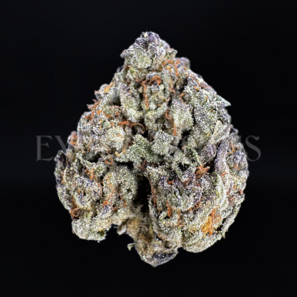 Purple Cream Washington DC Virginia