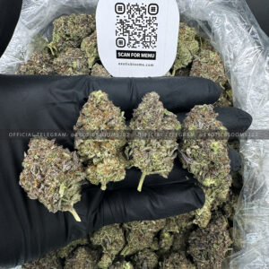 Purple Unicorn Strain Exotic Blooms dmv weed delivery