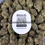 Sour Gas Strain Exotic Blooms washington dc weed delivery