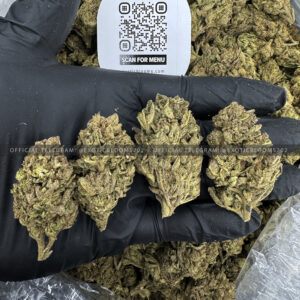 Sprinklez Strain Exotic Blooms virginia weed delivery