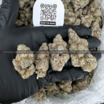 Gas Truffle Strain Exotic Blooms Washington DC virginia weed delivery