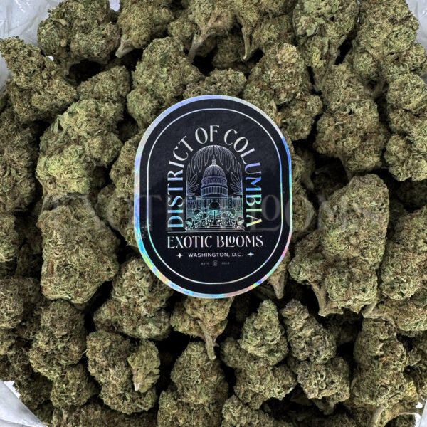 GSC Washington DC Virginia