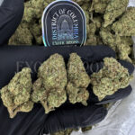 GSC Washington DC Virginia