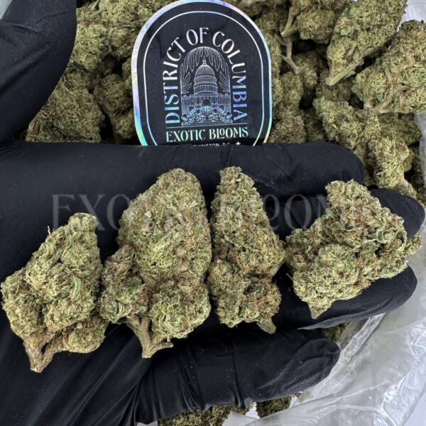 GSC Washington DC Virginia
