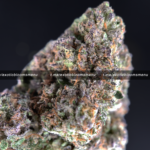 London Cake Strain Washington DC Virginia Richmond Maryland