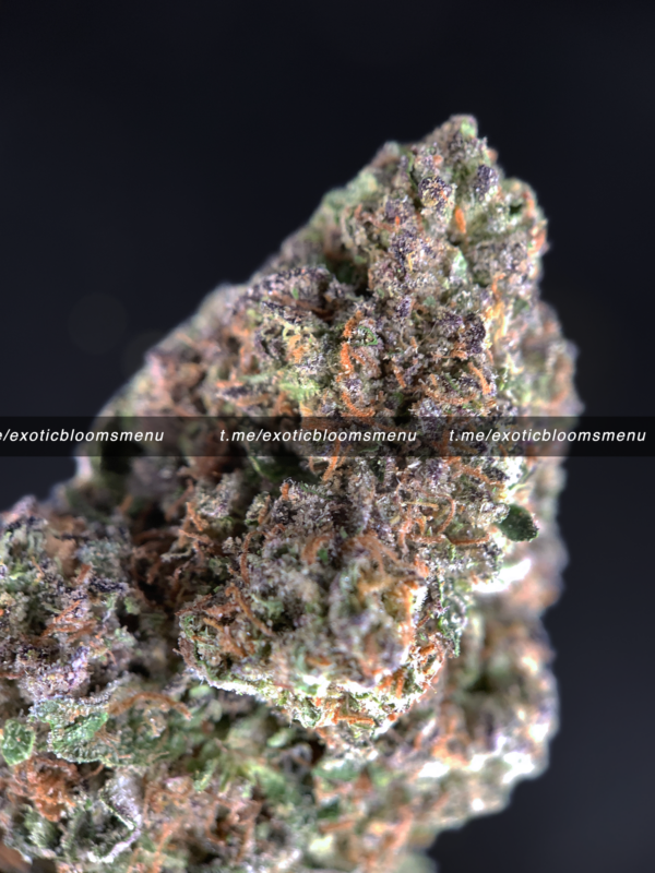 London Cake Strain Washington DC Virginia Richmond Maryland