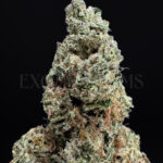 GSC Washington DC Virginia