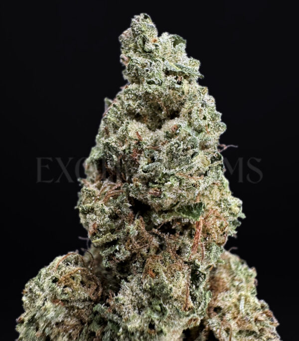 GSC Washington DC Virginia