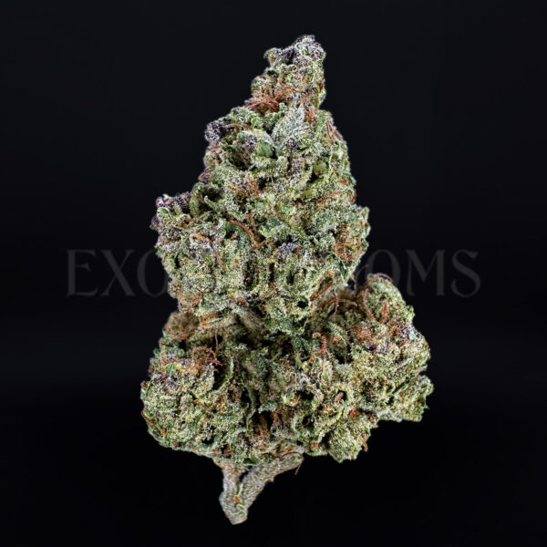 GSC Washington DC Virginia