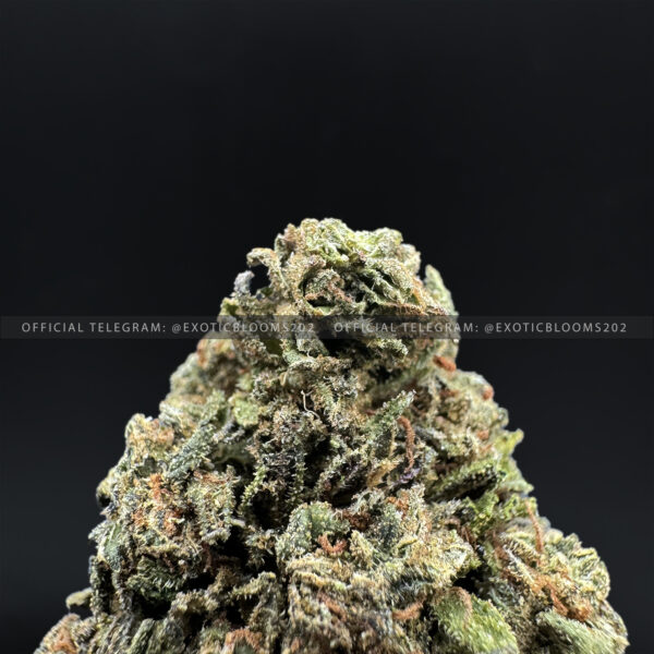 Gorilla King Strain Exotic Blooms washington dc weed delivery