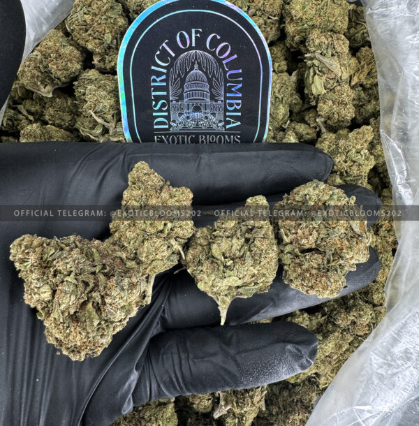 Gorilla King Strain Exotic Blooms virginia weed delivery