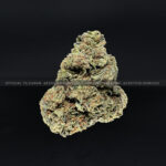 Gorilla King Strain Exotic Blooms dmv weed delivery