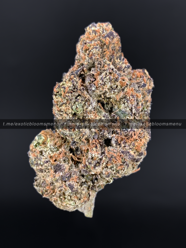 Lions Cake Strain Washington DC Virginia Maryland