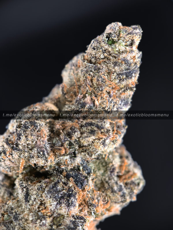 Lions Cake Strain Washington DC Virginia Maryland