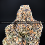 Lions Cake Strain Washington DC Virginia Maryland