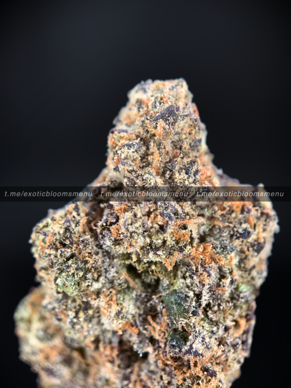 Lions Cake Strain Washington DC Virginia Maryland