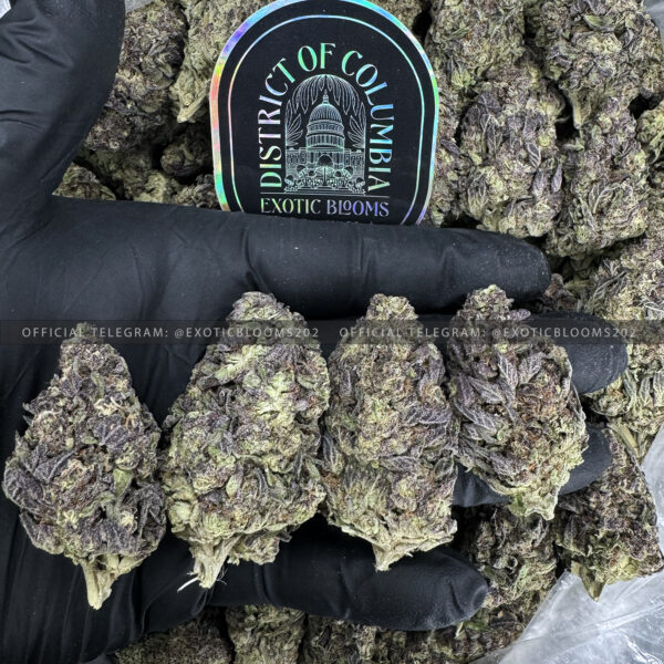 Purple Gushers Strain Exotic Blooms virginia weed delivery