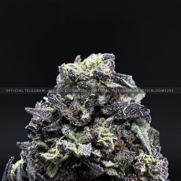 Purple Gushers Strain Exotic Blooms washington dc weed delivery