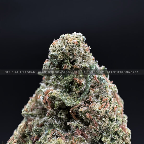 Sweet Cheese Strain Exotic Blooms washington dc weed delivery