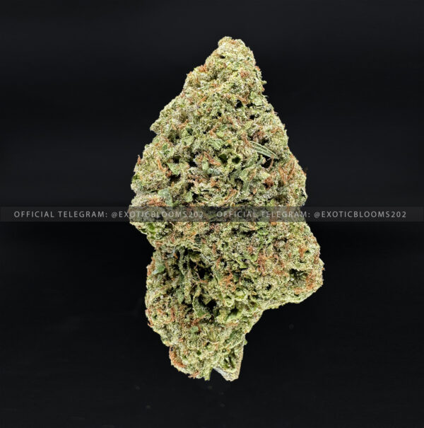 Sweet Cheese Strain Exotic Blooms virginia weed delivery