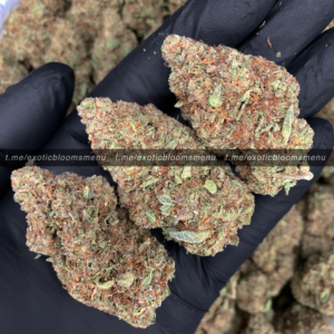 Funfetti Strain Washington DC Virginia Maryland