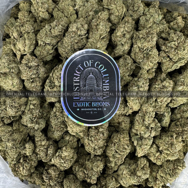 Original Glue Strain Exotic Blooms rva weed delivery