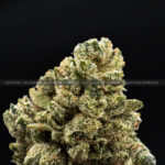 Original Glue Strain Exotic Blooms washington dc weed delivery