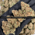 Peanut Butter Crunch Strain Washington DC Virginia Maryland