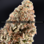 Peanut Butter Crunch Strain Washington DC Virginia Maryland