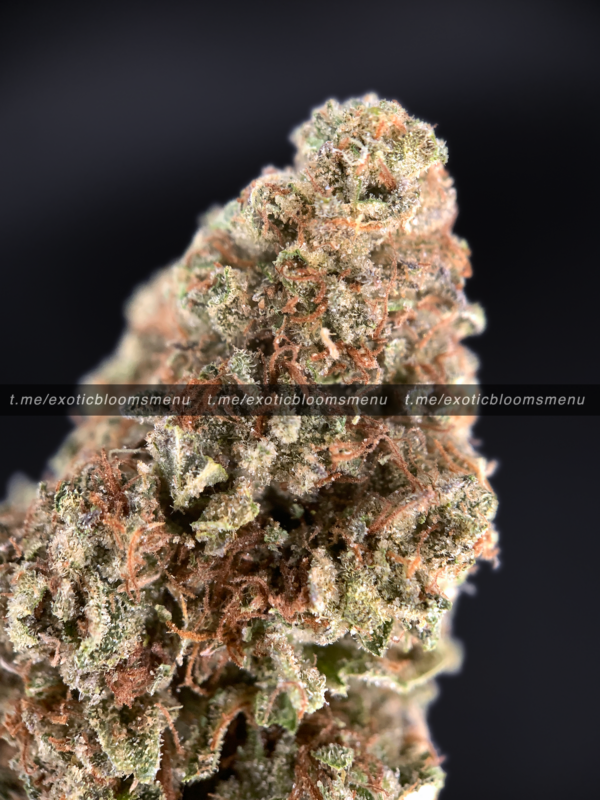 Peanut Butter Crunch Strain Washington DC Virginia Maryland