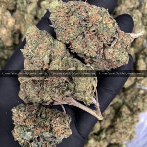 Pink Ferrari Strain Washington DC Virginia Maryland