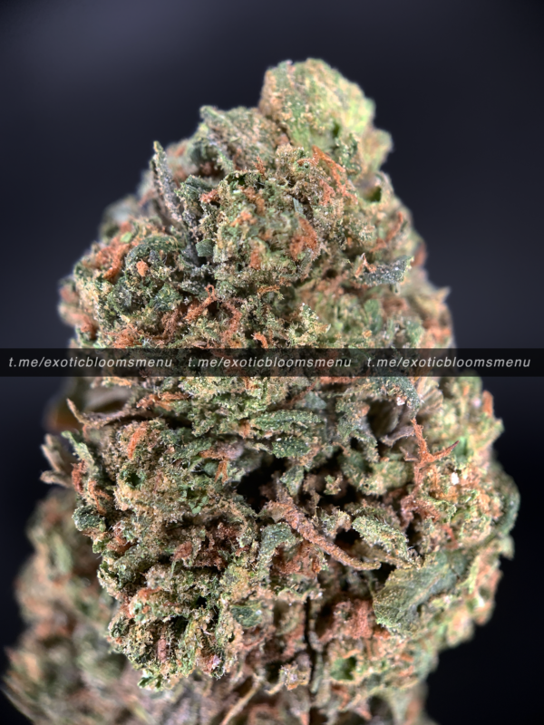 Pink Ferrari Strain Washington DC Virginia Maryland