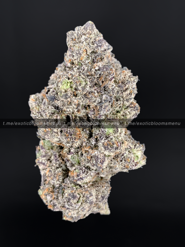 Supreme Gelato Strain Washington DC Virginia Maryland