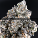 Supreme Gelato Strain Washington DC Virginia Maryland