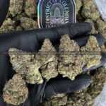 Diamond OG Strain Exotic Blooms virginia weed delivery