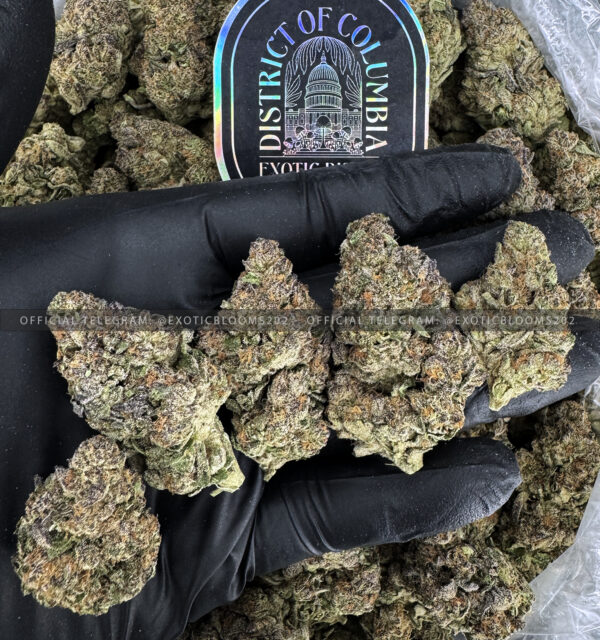 Diamond OG Strain Exotic Blooms virginia weed delivery